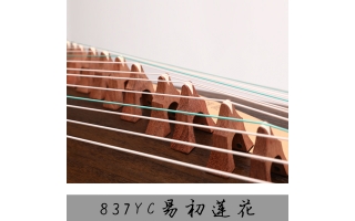神声古筝837YC易初莲花