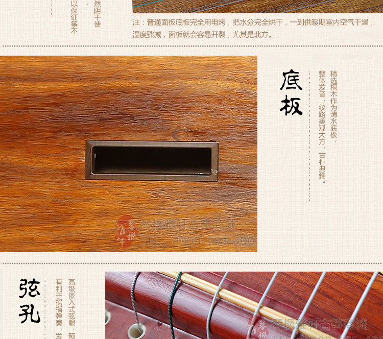 艺雅古筝-孔雀登高