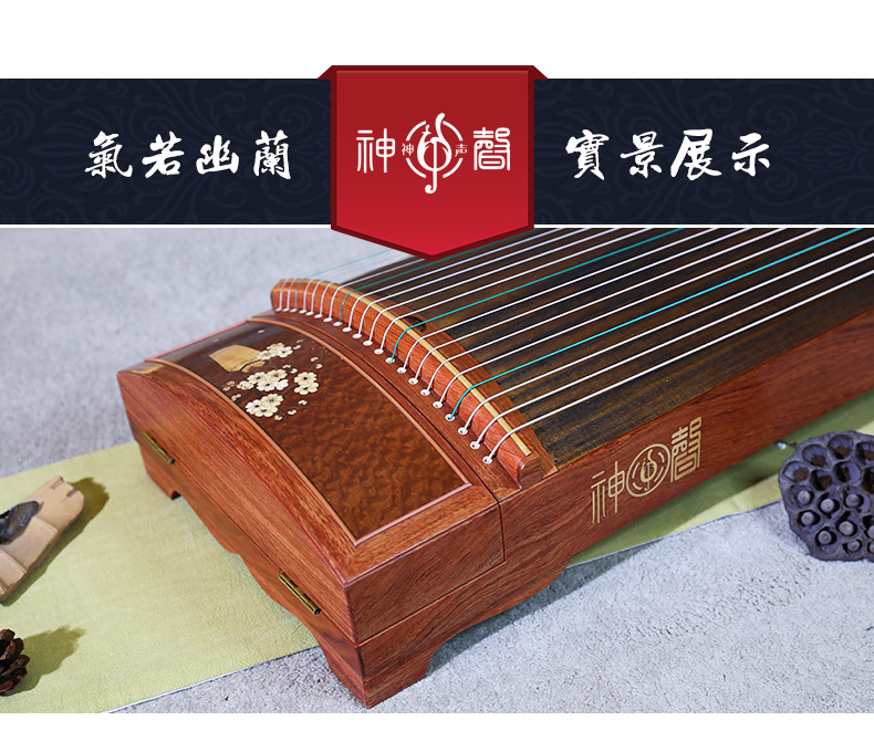 神声古筝837QR气若幽兰