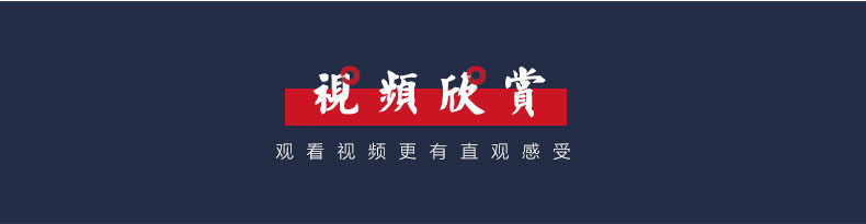 神声古筝837YC易初莲花