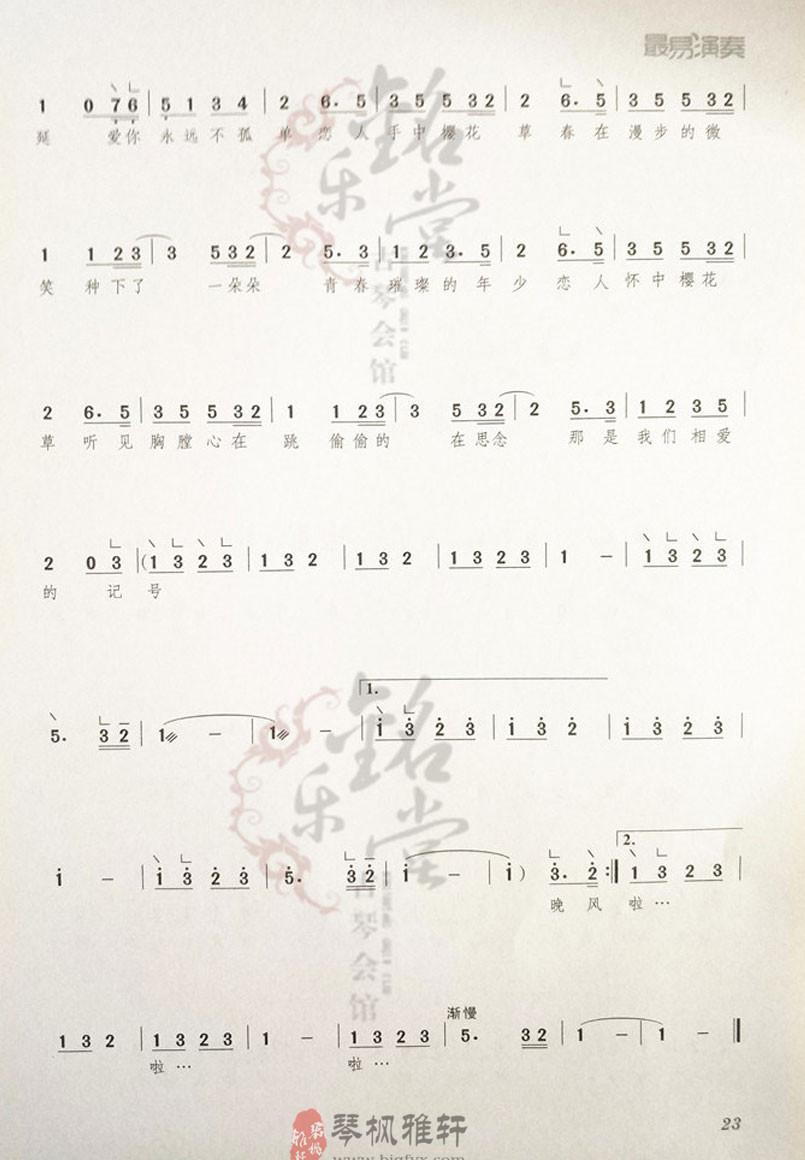 《樱花草》|古筝流行曲曲谱大全