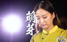 《萌芽》古筝名曲欣赏 | 宏声古筝_唤桐筝